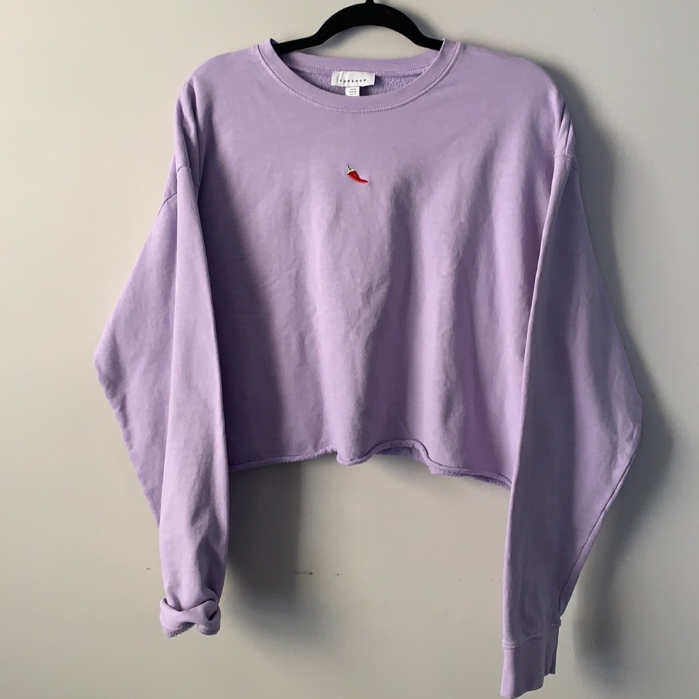TOPSHOP NWT Purple Pull Over Sweater, Size 14